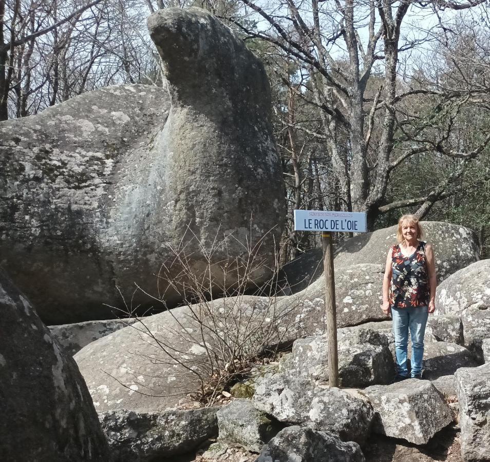 Gite Le Coumis 1370 Saint-Salvy-de-la-Balme 외부 사진